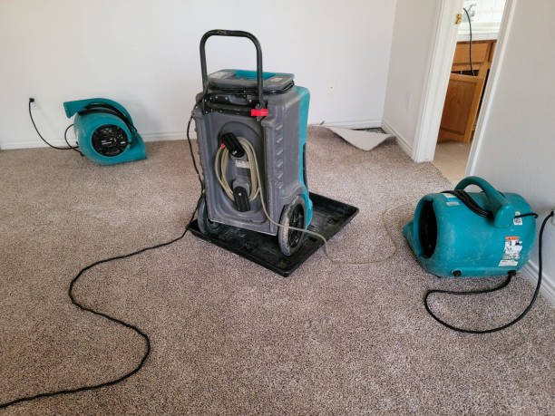 Best Residential water damage restoration  in Quincy, MI