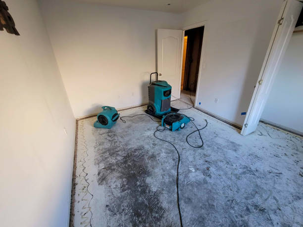 Best Fire Damage Restoration  in Quincy, MI