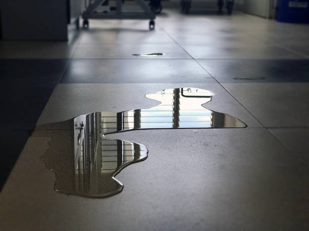Best Water damage restoration near me  in Quincy, MI