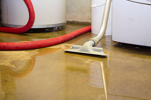  Quincy, MI Water damage restoration Pros