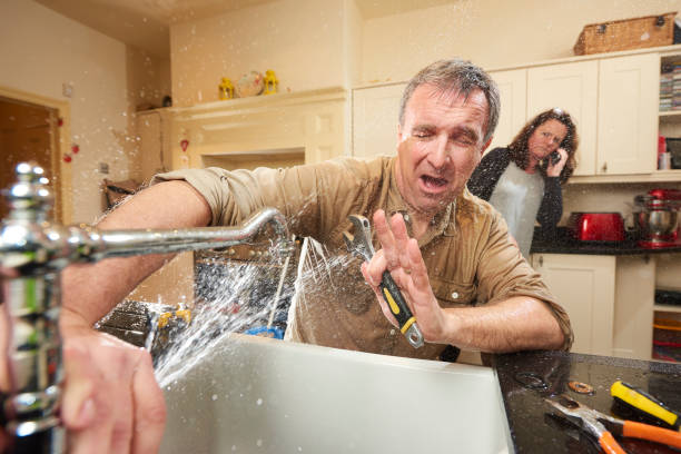 Best Water damage cleanup near me  in Quincy, MI
